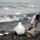 거제경찰서 입구 이미지