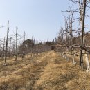 명선농장 이미지