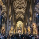 호텔 하이든(HOTEL HAYDN) | 빈 구시가지, 성 슈테판 대성당 내부, 멜란지 커피, 오스트리아 현지식(호이리게) 맛보기, Hotel Allegro