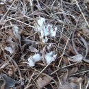 광덕3로 이미지