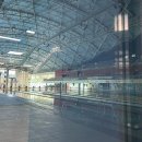 강서 월드 체육관 | 고양 체육관 수영장 잠수풀 서울 근교 원정수영