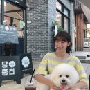 인사를잘하는사람들 이미지