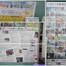 평창 다솜방 한우
