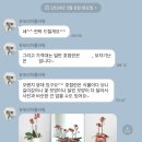 유포리아플라워 이미지