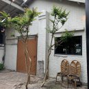 홍제동주민센터 | [강릉 맛집] 강릉 홍제동 “버드나무 브루어리” 수제맥주 맛집 방문후기➿ 풍자 또간집