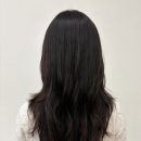 프리뮤어