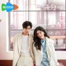 꽃 - 화해 이미지