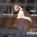 밍크모텔 이미지