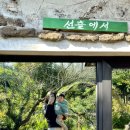 선흘초옥 이미지