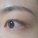 요니브로우 | 속쌍인간의 모란속눈썹펌 맛집 요니브로우 후기