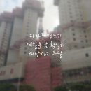 다가구 1박 2일 현장명도기 / 배당까지 두달 이미지