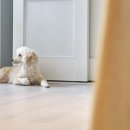 검찰군산지청 이미지