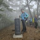 240806 양평.가평 소구니산,유명산 이미지