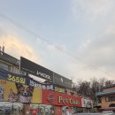 펫클럽 수석점 이미지