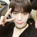 댕댕이지 이미지