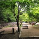 뱀사골야영장 이미지