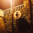 코코보노 고양이호텔 이미지