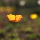 성우산업