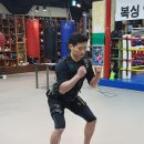 저스트복싱 이미지