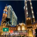 터미널관광나이트 이미지