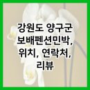 보배 민박 이미지