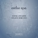 에바니아힐링케어(에제르) | 시흥 헤드스파샵 프리미엄 스파 시스템 에스테 스파 설치 후기