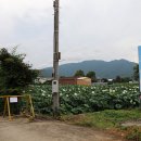 가산보건진료소 이미지