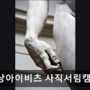 비상아이비츠학원 - 천안시 서북구 두정중7길 18 | 비상아이비츠학원