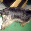 성서종합동물병원 이미지