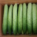 삼대농장 이미지