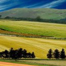 산들바람 이미지