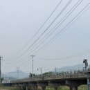 (주)다투어 | 가볼만한곳 진천 이팝나무길 개화시기 위치 주차 솔직 후기 | 이번 주말 만개! 아이와 가기 좋은 차량...