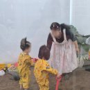 흙놀이 미술시간 이미지