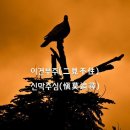 신막