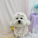 트리밍153 이미지