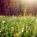 우리집의모든것 이미지