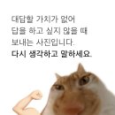 현대식육백화점 이미지