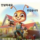 개미인력부산 | 부산 바리솔 교체 등 교체 후기글!