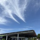 샤이멍 | 11살 , 5살 아이랑 푸꾸옥 여행 첫째날 : 북부 그랜드월드 JMT 한식당 , 원스파 마사지 내돈내산 찐후기