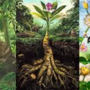 한국파라마운트(주) 이미지