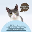 경원한복 이미지