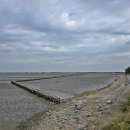 매향리 평화생태공원 이미지