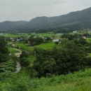 신리할머니 이미지