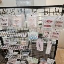 네일스튜디오 이미지