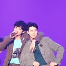 위영 Daum카페