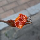 떡볶이은행 이미지