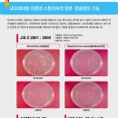 더휴베이스 이미지