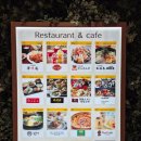 도로시돈부리 이미지