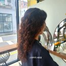 스파커치 이미지