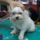 미용농장 이미지